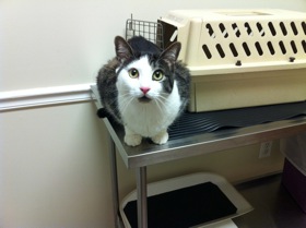 More confused than Keith Richards waking up at an AA meeting